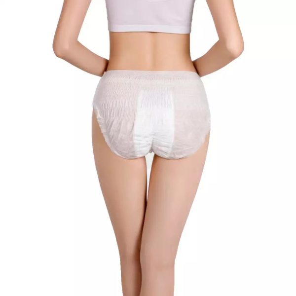 aternity Feminine Hygiene, Disposable Nice Day Girls, Sanitary Napkin Ultra Thin Menstrual Pant