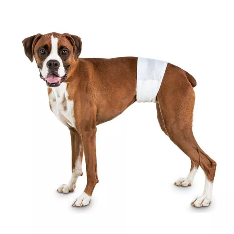 pet supply dog diaper,biodegradable pet,female pet disposable