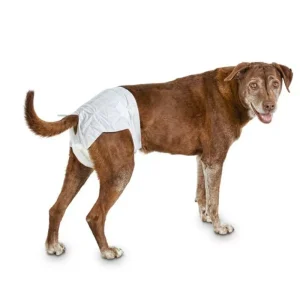 low price pet diaper, soft pet diapers, dog pants, pet diaper sanitary