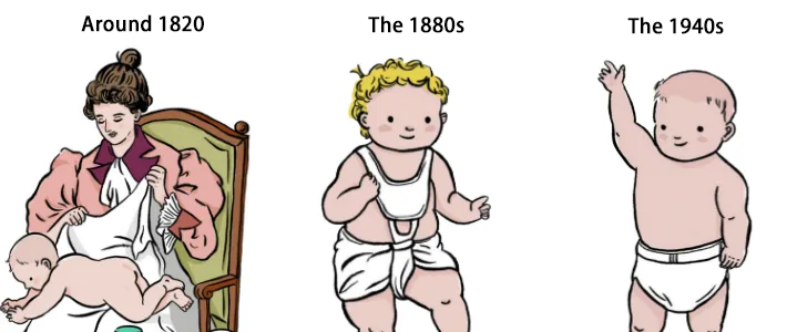 Evolutionary history of diapers (2)